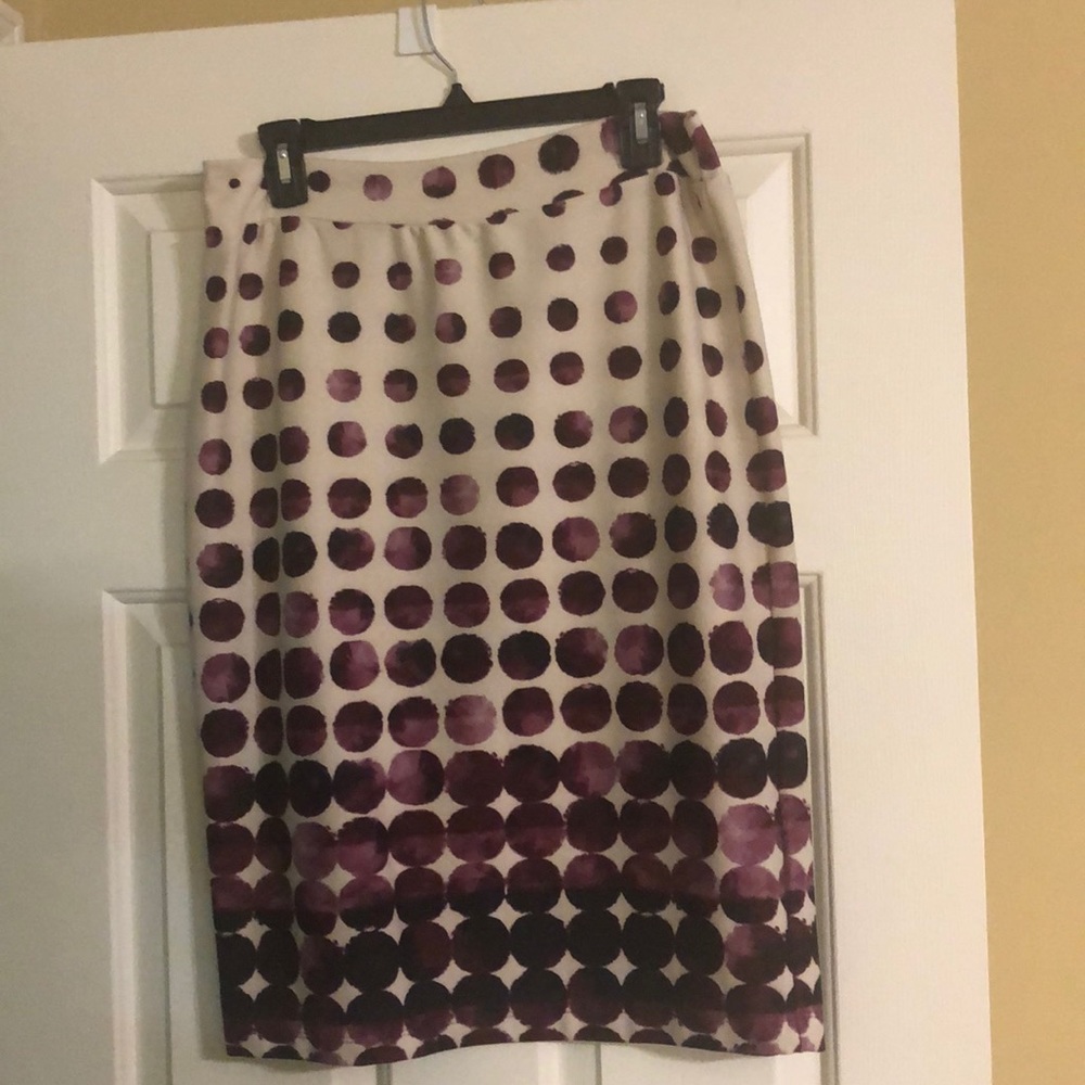 Stitch Fix Skirt